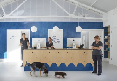 The London Animal Ho...