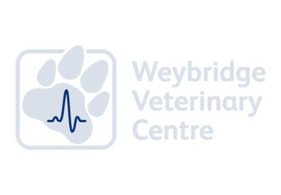 Weybridge Vets