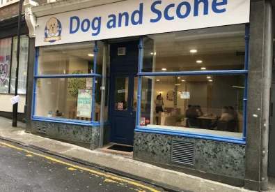 Dog & Scone