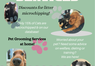 Dog Services/Canine ...